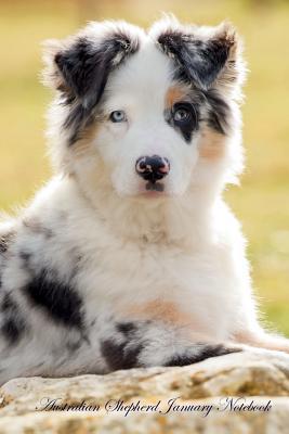 Read Australian Shepherd January Notebook Australian Shepherd Record, Log, Diary, Special Memories, To Do List, Academic Notepad, Scrapbook & More - Breeds Of Beauty | ePub