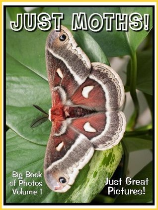 Read Online Just Moth Photos! Big Book of Photographs & Pictures of Moths, Vol. 1 - Big Book of Photos | PDF