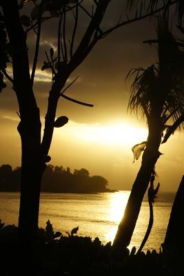 Download Golden Sunset on a Seychelles Beach in East Africa Journal: A Blank Lined Journal for Writing and Note Taking -  file in ePub