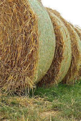 Read Online Freshly Rolled Straw Bales Journal: Take Notes, Write Down Memories in This 150 Page Lined Journal -  file in PDF