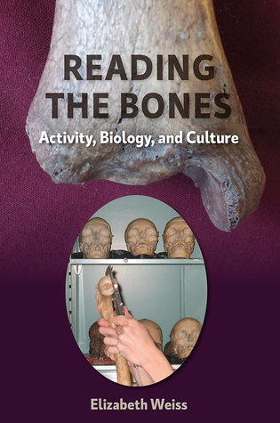 Download Reading the Bones: Activity, Biology, and Culture - Elizabeth Weiss | PDF