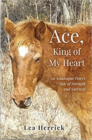 Read Ace, King of My Heart: An Assateague Pony's Tale of Strength and Survival - Lea Herrick file in PDF