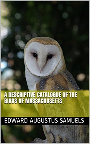 Read A Descriptive Catalogue of the Birds of Massachusetts - Edward A. Samuels file in PDF