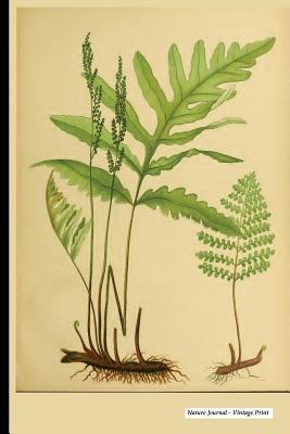 Read Online Nature Journal - Vintage Print: Vintage Nature Print (26), 6 X 9 - Blank Ulined Unruled Diary, Notebook, Journal -  file in ePub