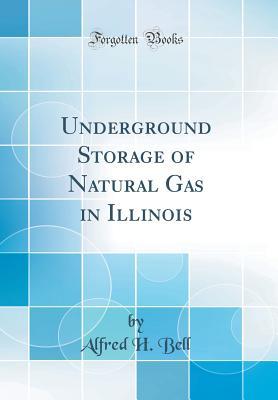 Read Underground Storage of Natural Gas in Illinois (Classic Reprint) - Alfred H Bell file in ePub