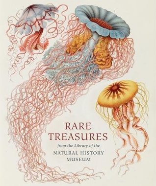 Download Rare Treasures: From the Library of the Natural History Museum - Judith Magee file in ePub