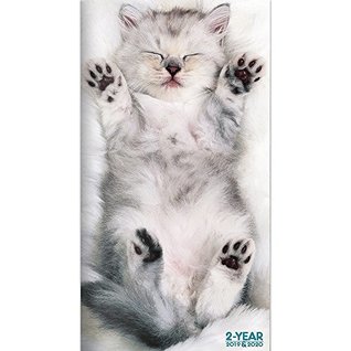 Full Download Time Factory Kittens 3.5 x 6.5 January 2019-December 2020 2-Year Pocket Planner (19-7009) -  file in ePub