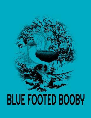Read Blue Footed Booby: California Condor Notebook.8.5 X 11 Size 120 Lined Pages California Condor Gifts for Bird Lover, Birder, Ornithologists.California Condor Journal.Birdwatching Notebook. - Kkalita Publishing | PDF