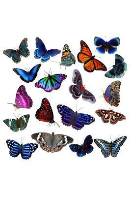 Download Notebook: Butterfly Collector Love Colorful Butterflies Black Lined Journal Notebook Writing Diary - 120 Pages 6 x 9 -  file in ePub
